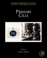 Primary Cilia