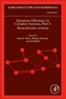 Quantum Efficiency in Complex Systems, Part I