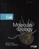 Molecular Biology, 2nd. Ed.