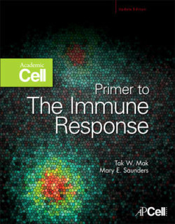 Primer to Immune Response