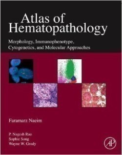 Atlas of Hematopathology : Morphology, Immunophenotype, Cytogenetics, and Molecular Approaches