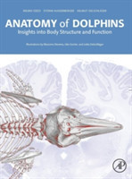 Anatomy of Dolphins