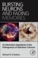 Bursting Neurons and Fading Memories