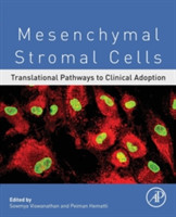 Mesenchymal Stromal Cells : Translational Pathways to Clinical Adoption