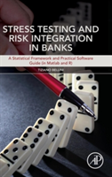 Stress Testing and Risk Integration in Banks