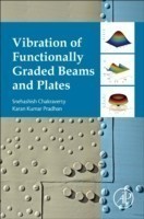 Vibration of Functionally Graded Beams and Plates