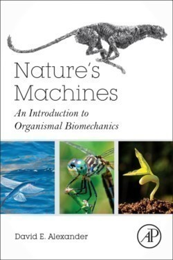 Nature's Machines An Introduction to Organismal Biomechanics