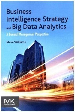 Business Intelligence Strategy and Big Data Analytics