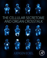 Cellular Secretome and Organ Crosstalk