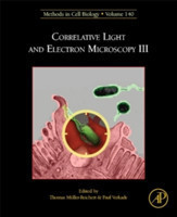 Correlative Light and Electron Microscopy III