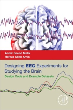 Designing EEG Experiments for Studying the Brain
