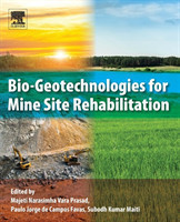 Bio-Geotechnologies for Mine Site Rehabilitation