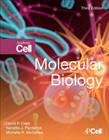 Molecular Biology, 3rd Ed.