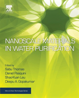 Nanoscale Materials in Water Purification