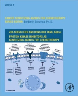 Protein Kinase Inhibitors as Sensitizing Agents for Chemotherapy