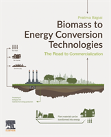 Biomass to Energy Conversion Technologies