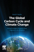 Global Carbon Cycle and Climate Change