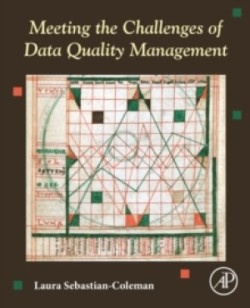 Meeting the Challenges of Data Quality Management