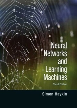 Neural Networks and Learning Machines