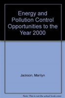 Energy and Pollution Control Opportunities to the Year 2000