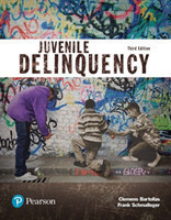 Juvenile Delinquency (Justice Series)