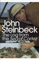 Log from the Sea of Cortez