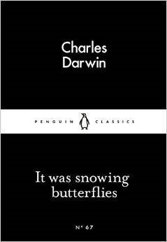 It Was Snowing Butterflies (Little Black Classics)