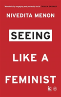 Seeing Like a Feminist