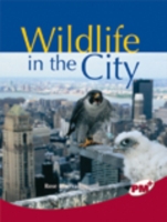  Wildlife in the City