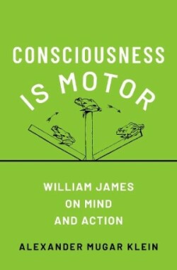 Consciousness Is Motor