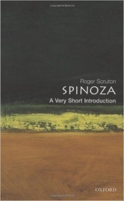 VSI Spinoza