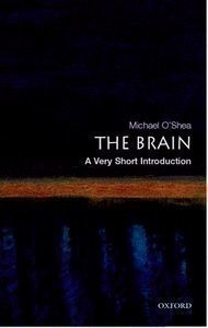 VSI Brain