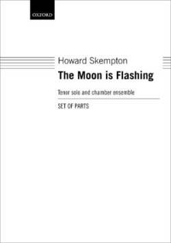 Moon is Flashing