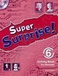 Super Surprise 6 Activity Book and MultiRomPack