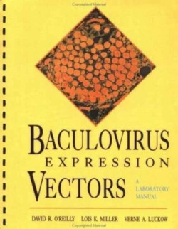 Baculovirus Expression Vectors