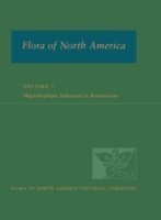 Flora of North America V7