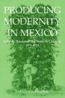 Producing Modernity in Mexico