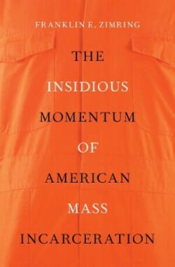 Insidious Momentum of American Mass Incarceration