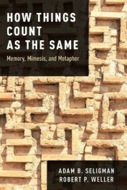 How Things Count as the Same Memory, Mimesis, and Metaphor