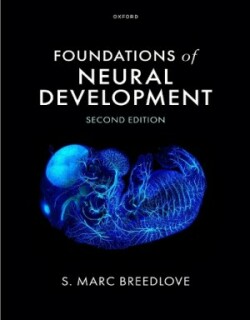 Foundations of Neural Development