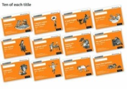 Read Write Inc. Phonics: Orange Set 4 Core Black & White Storybooks (Pack of 120)