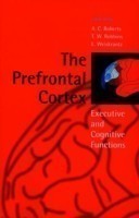 Prefrontal Cortex