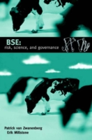 BSE: risk, science and governance