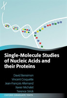 Single-Molecule Studies of Nucleic Acids and Their Proteins