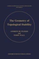 Geometry of Topological Stability