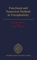 Functional and Numerical Methods in Viscoplasticity