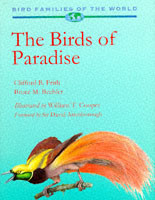 Birds of Paradise