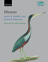 Herons: Ardeidae