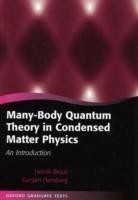 Many-body Quantum Theory in Condensed Matter Physics