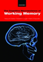 Cognitive Neuroscience of Working Memory